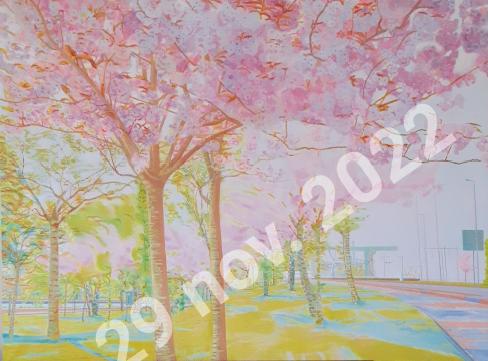 Afbeelding wordt geladen